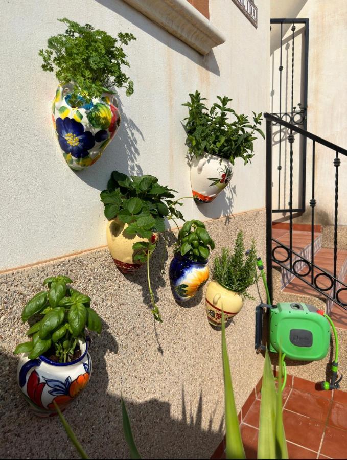 021 Casa Calida - Orihuela Costa Leilighet Punta Prima  Eksteriør bilde